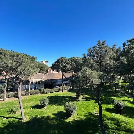 Climatise Pour 4 Personnes Proche - Fr-1-837-6 Argeles-sur-Mer
